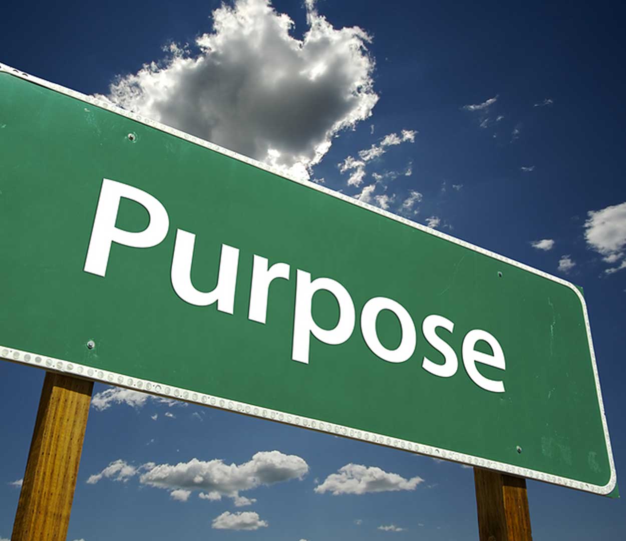 what-s-the-purpose-of-your-business-part-2-alistair-summers